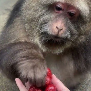 Meet your Posher, Sophia